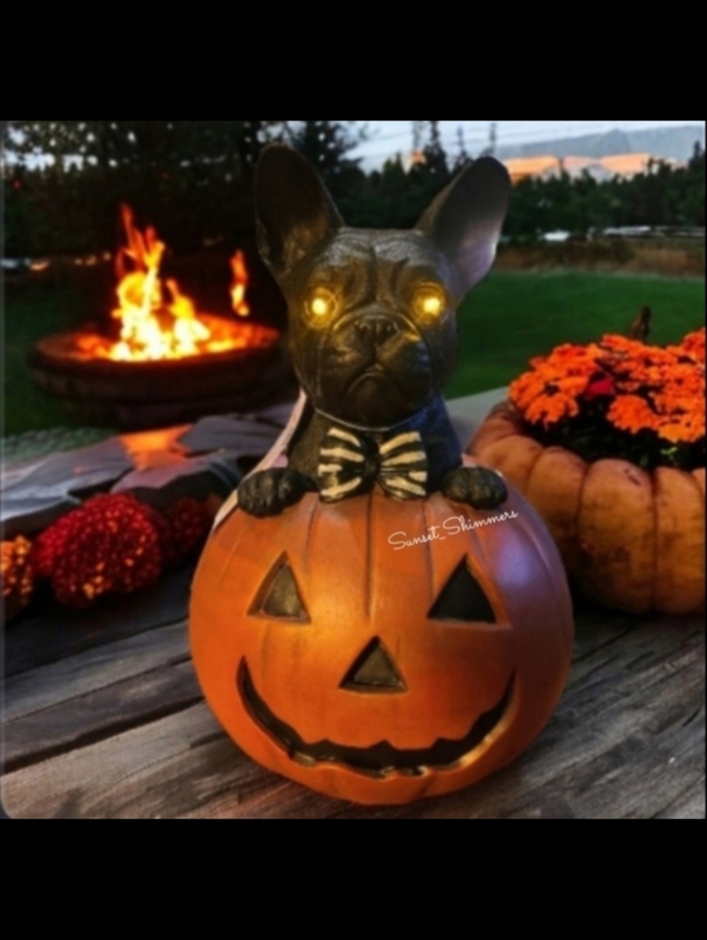 Light Up French Bulldog Frenchie Dog In Jack Pumpkin Halloween Figure Decor NEW